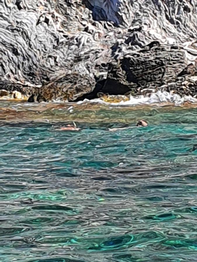Porquerolles - Nuit Insolite A Bord Du Defi Fou Экстерьер фото